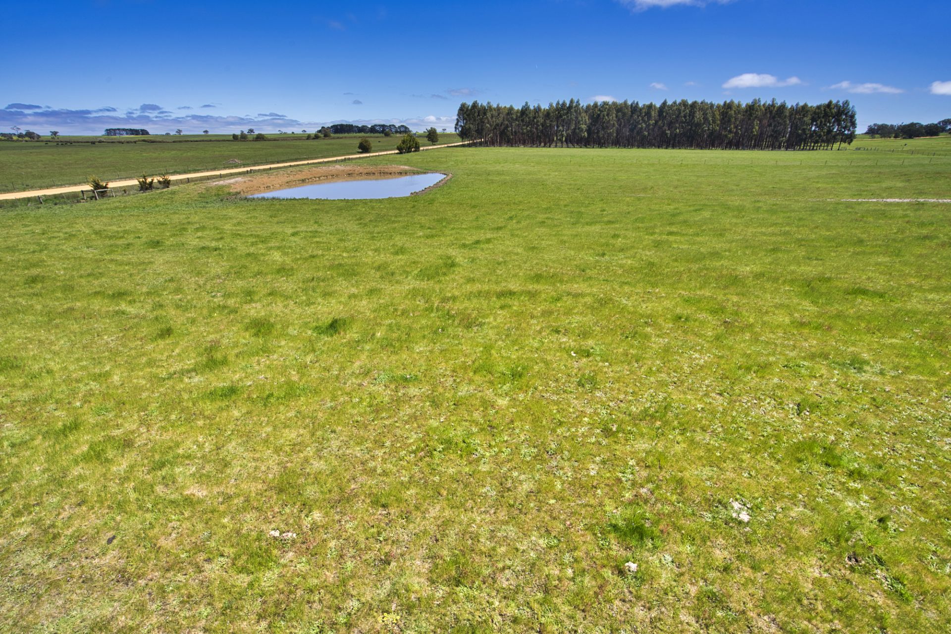1/ Cnr Lightwood Park/racecourse Road Haddon VIC, Haddon - Thumbnail 8