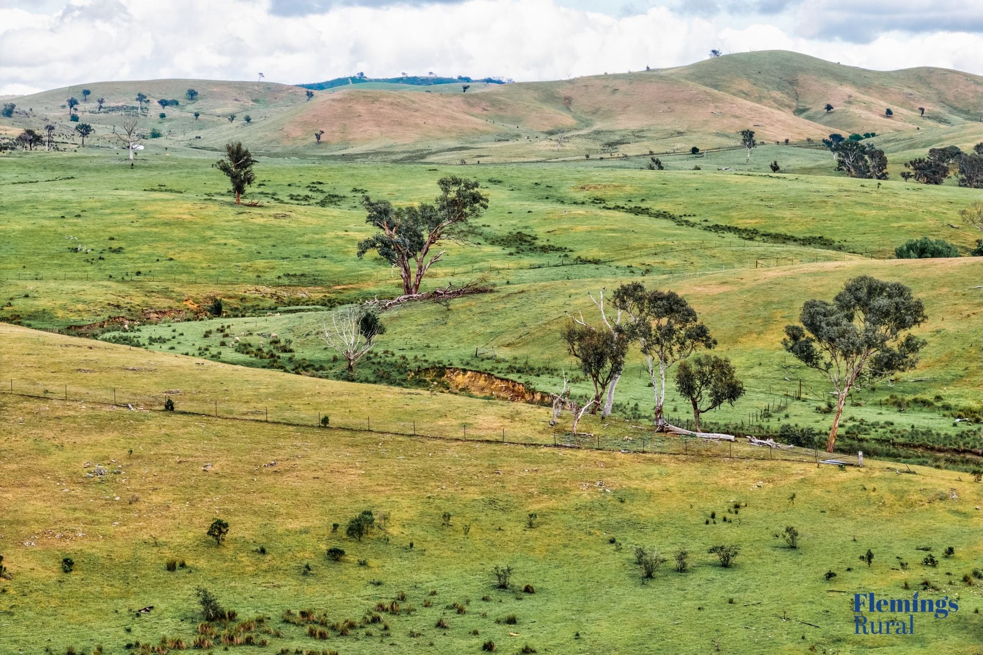 1479 Grassy Creek Road, Rugby NSW, Rugby - Thumbnail 4