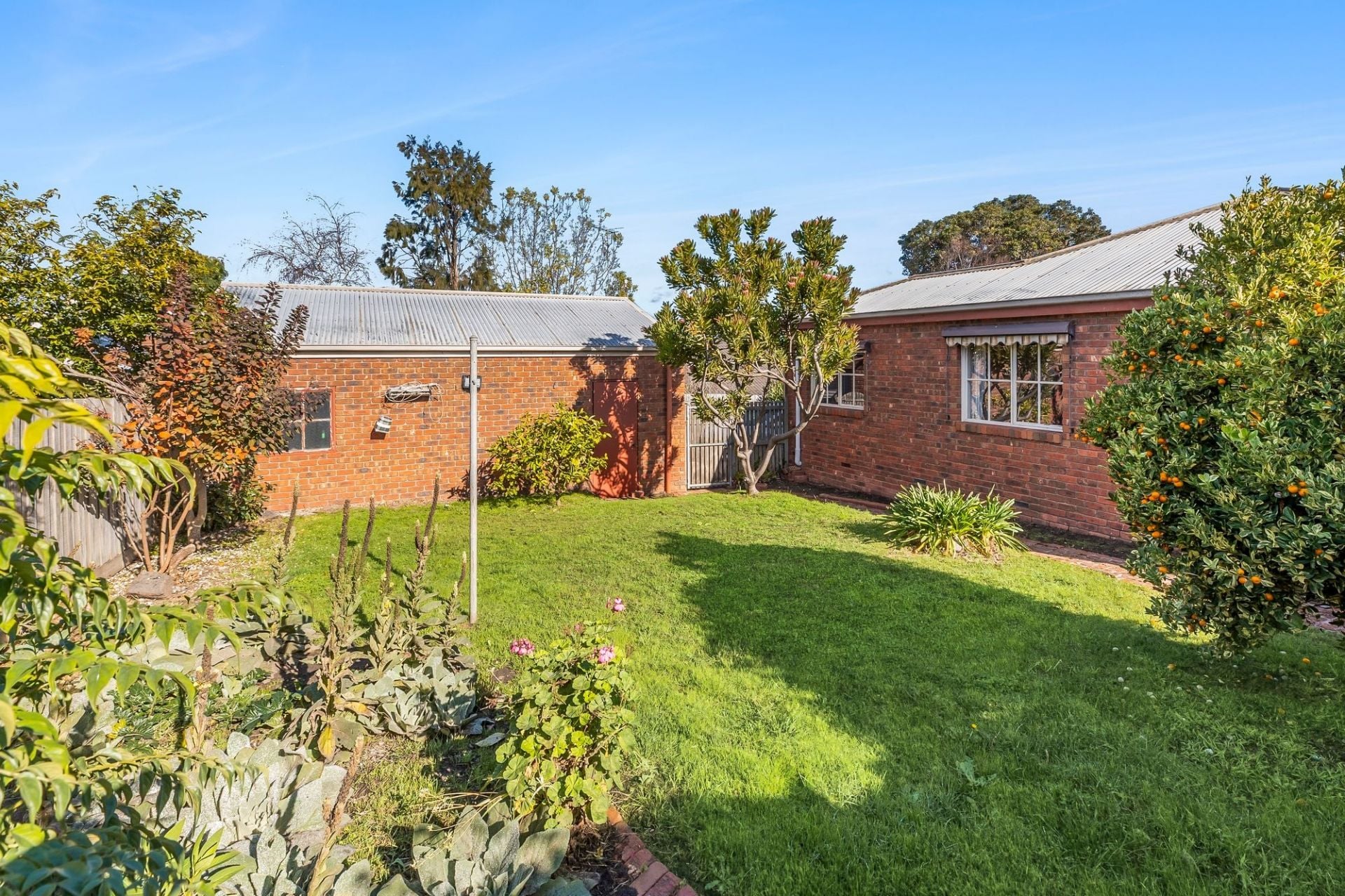 83 Barrands Lane Drysdale VIC, Drysdale - Image 1