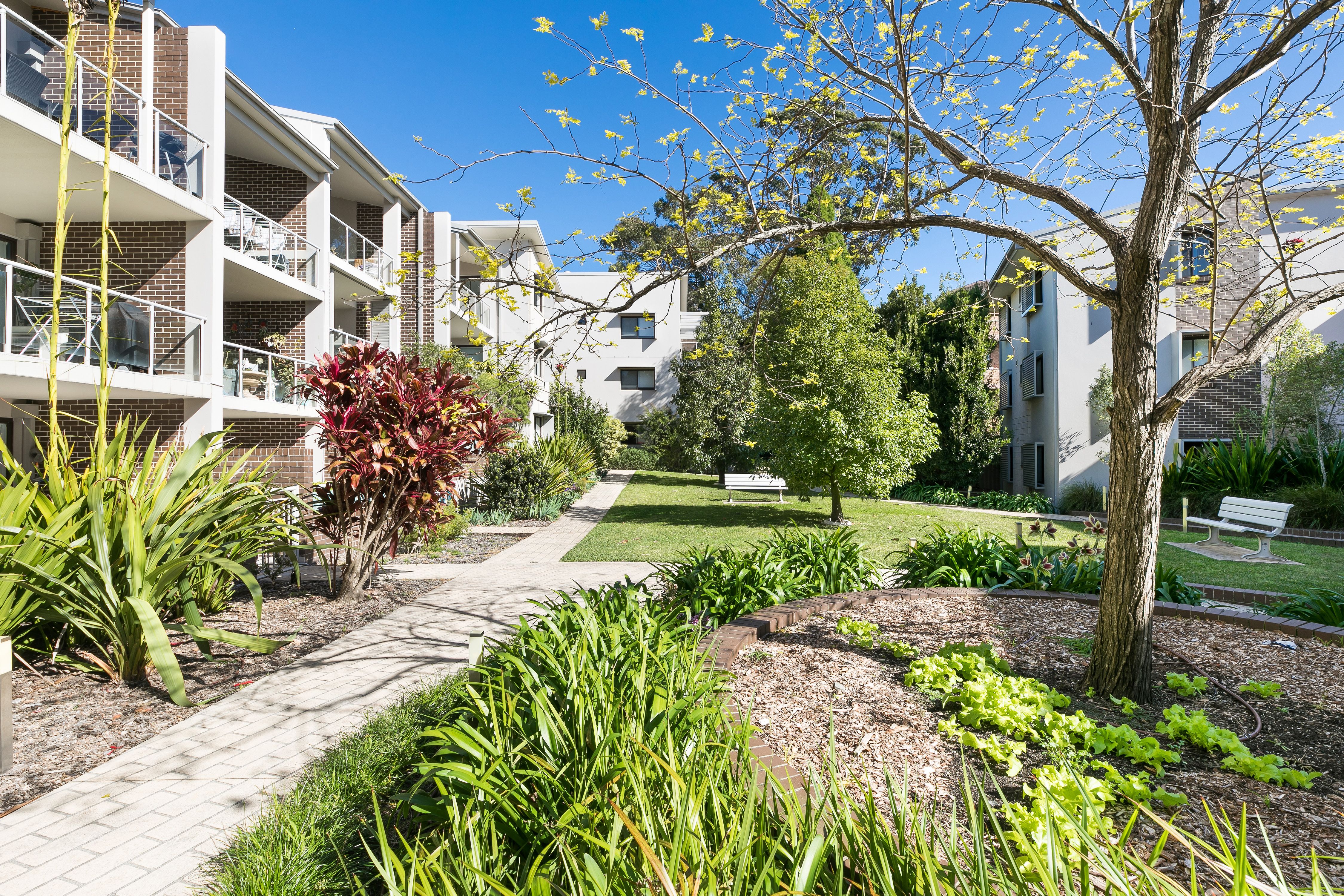 26/6-8 Banksia Road, CARINGBAH, Caringbah - Thumbnail 7