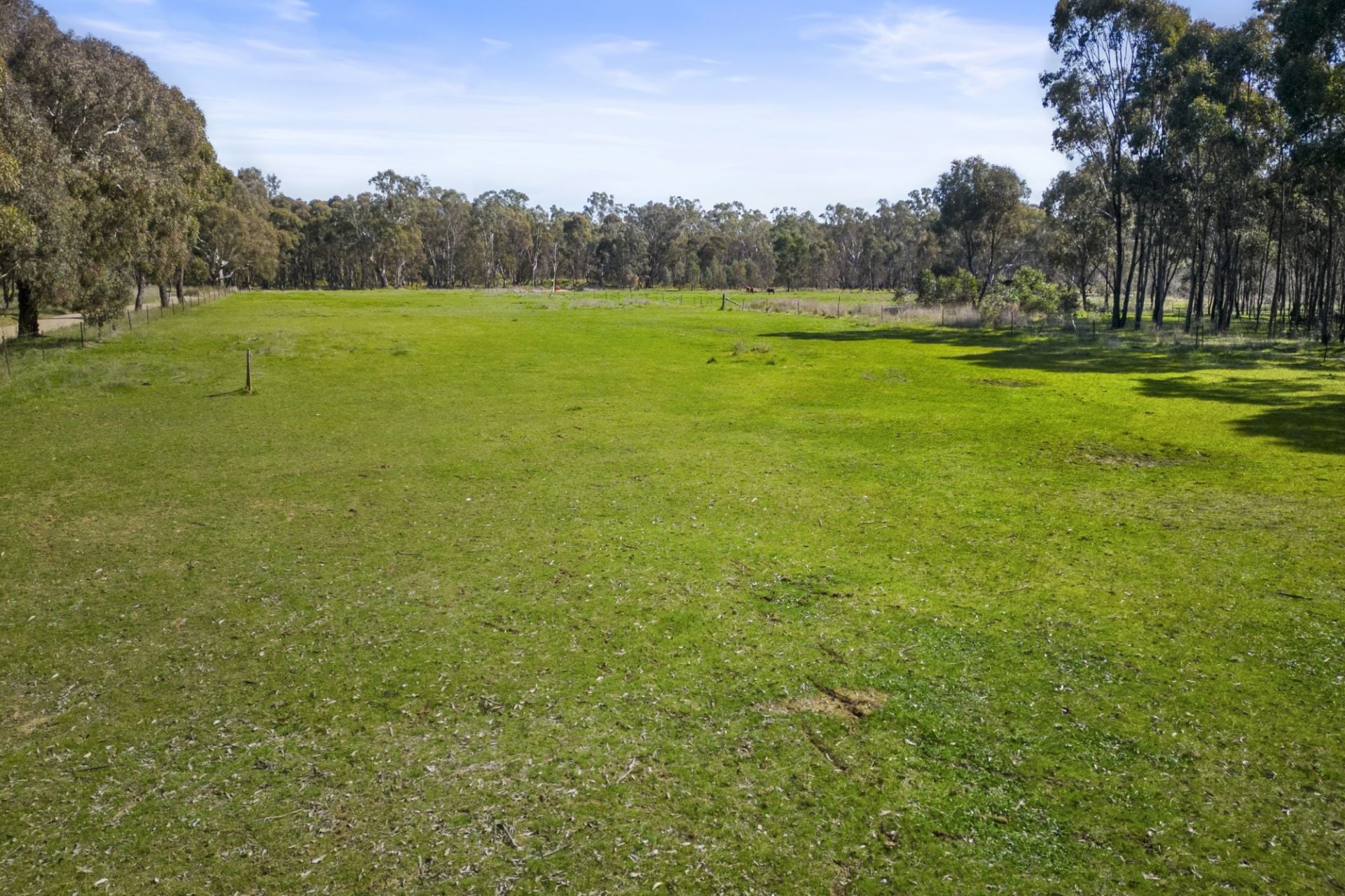 8/ Redpath Road, Avoca - Thumbnail 2