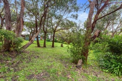 13 Old Coach Road, Skenes Creek, VIC