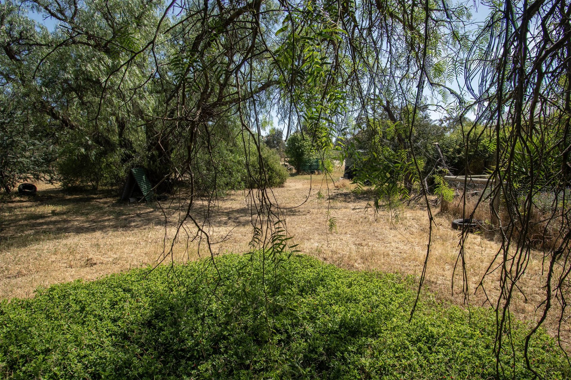 585 Timor Road, Bowenvale - Thumbnail 6