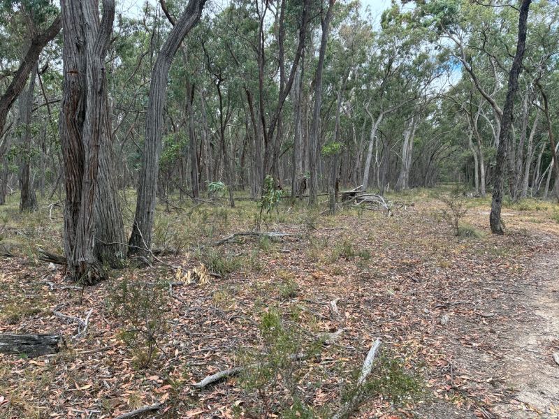 1 Grampians View Road, Beaufort, Beaufort - Thumbnail 4