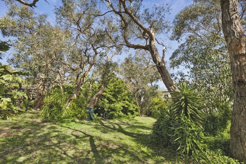 71 Fraser Avenue Anglesea VIC, Anglesea - Thumbnail 6