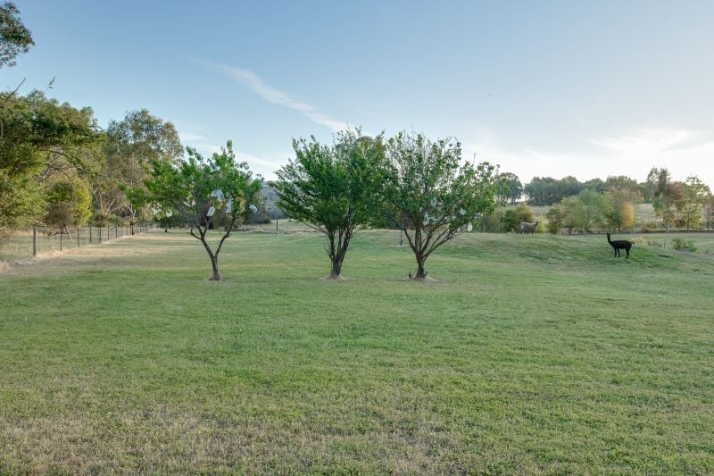 359 Sweetwater Road Mullengandra NSW, Mullengandra - Thumbnail 2