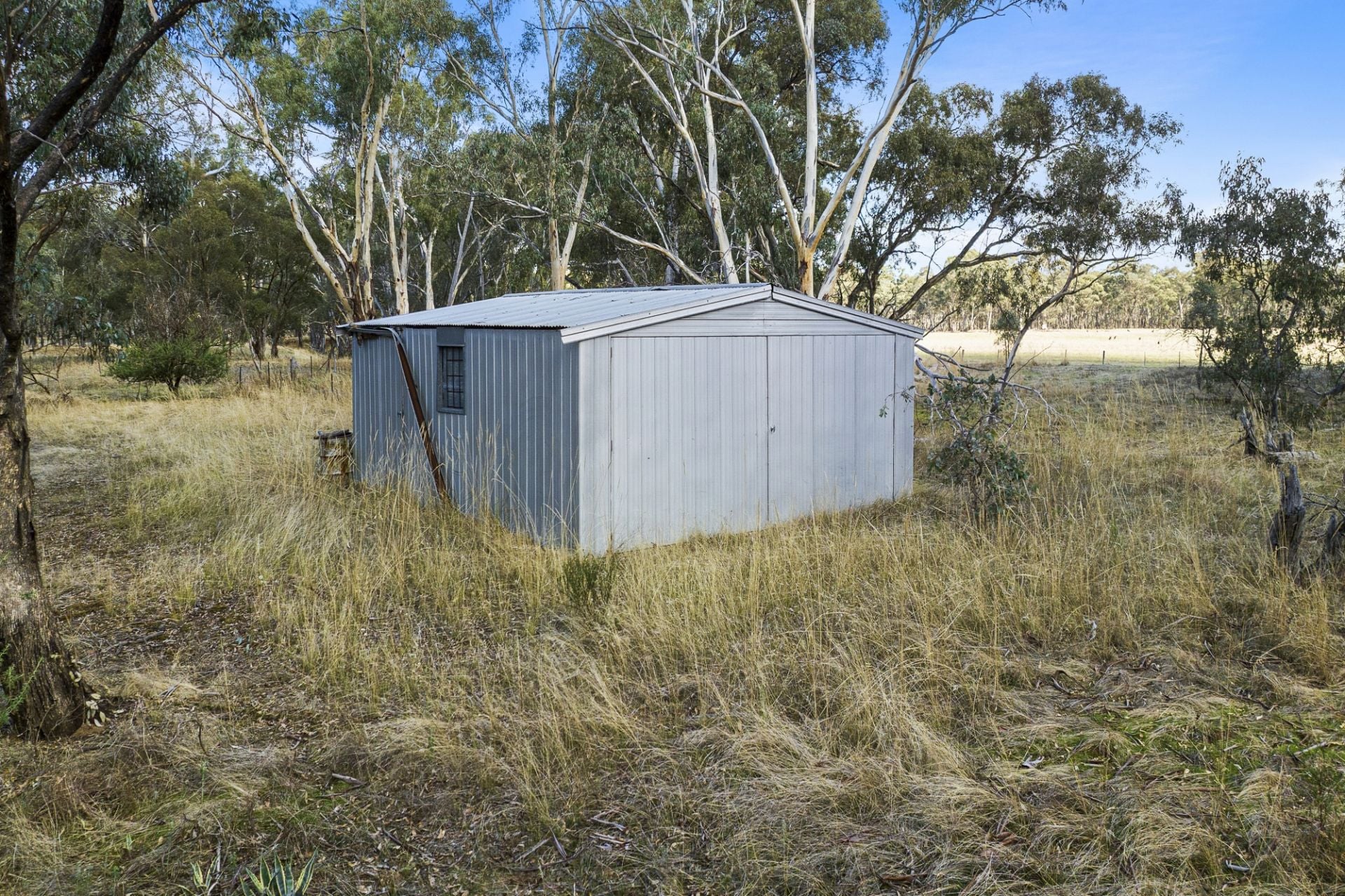 465 Dunolly-Moliagul Road, Dunolly - Thumbnail 2