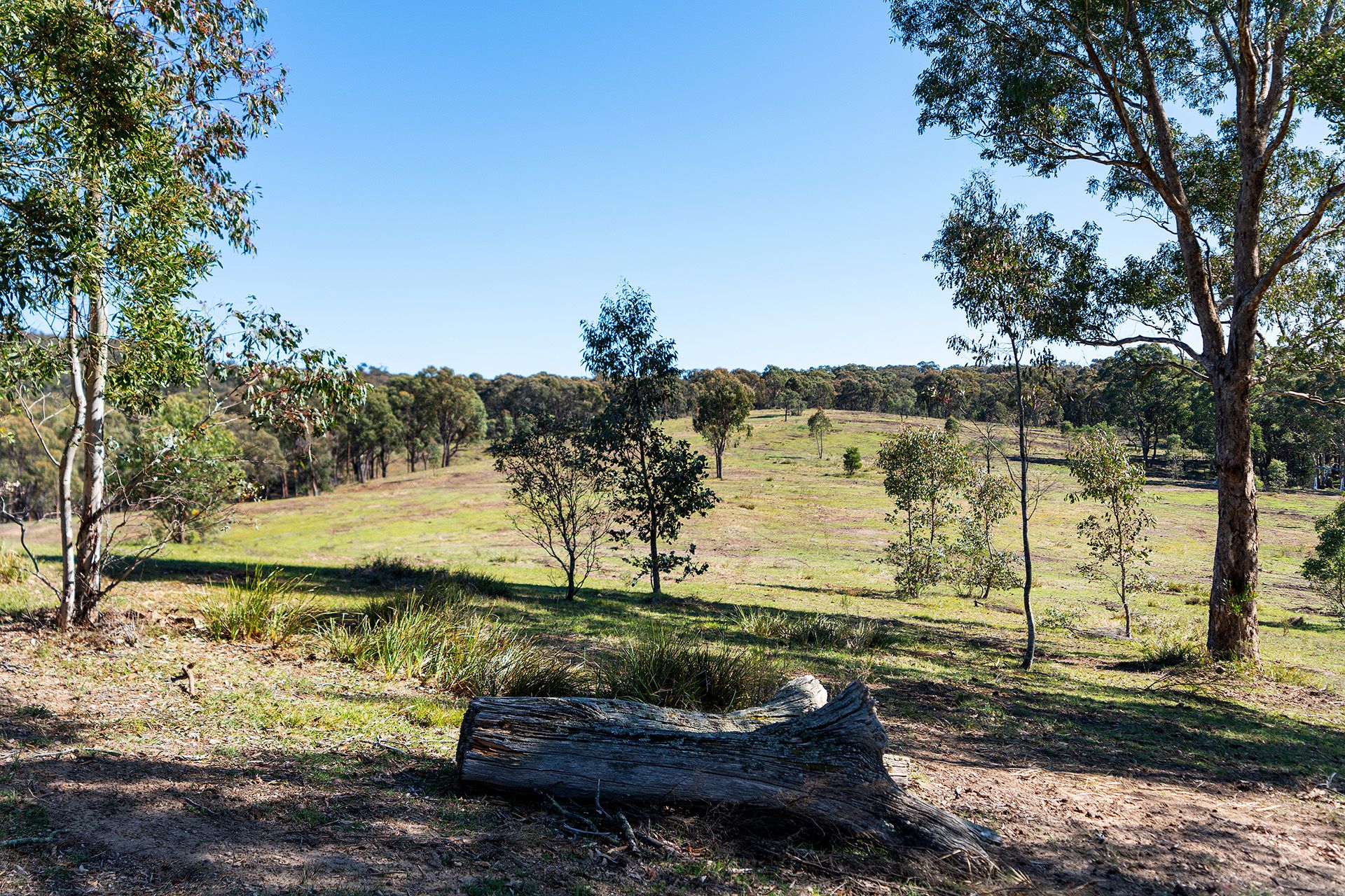 255 Taradale Road Drummond North, Drummond North - Thumbnail 8
