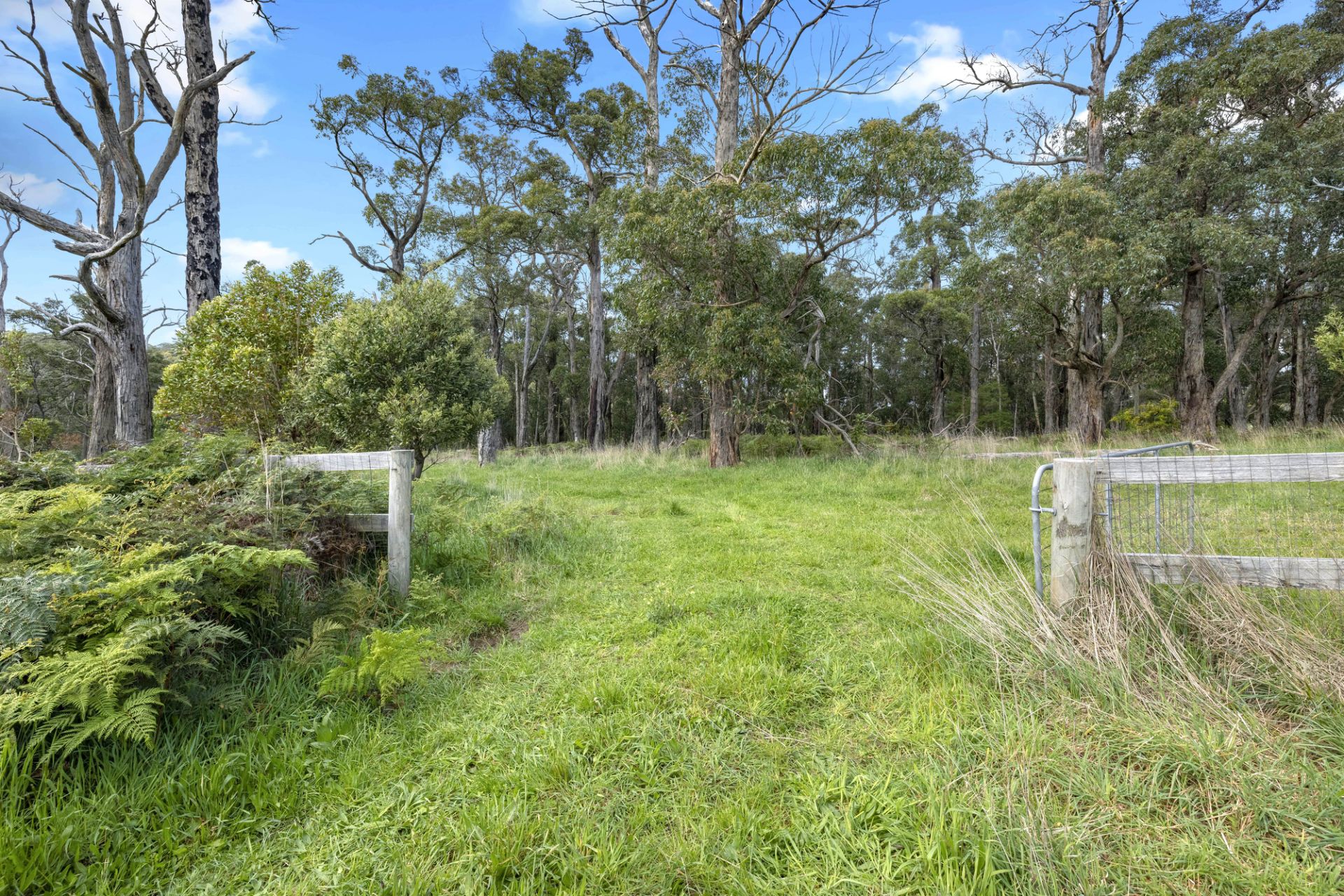 110 Stony Creek Road, Red Hill, Red Hill - Thumbnail 8