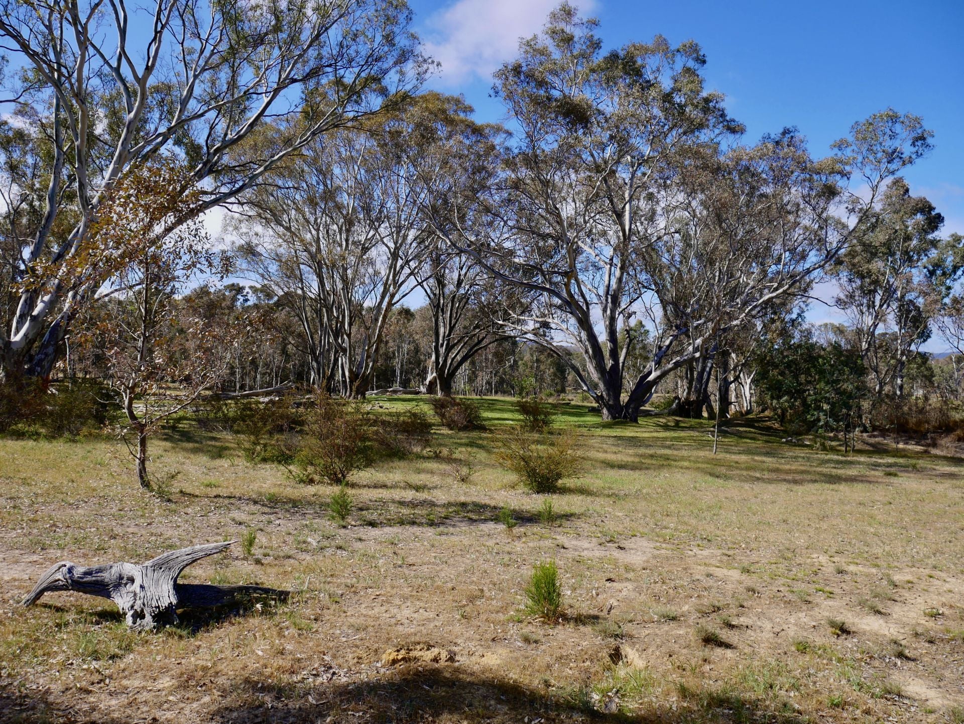 44 Borbidge Lane, Moonambel - Thumbnail 2