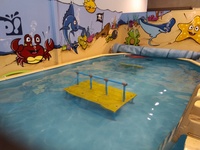 Make Money by Swimming.