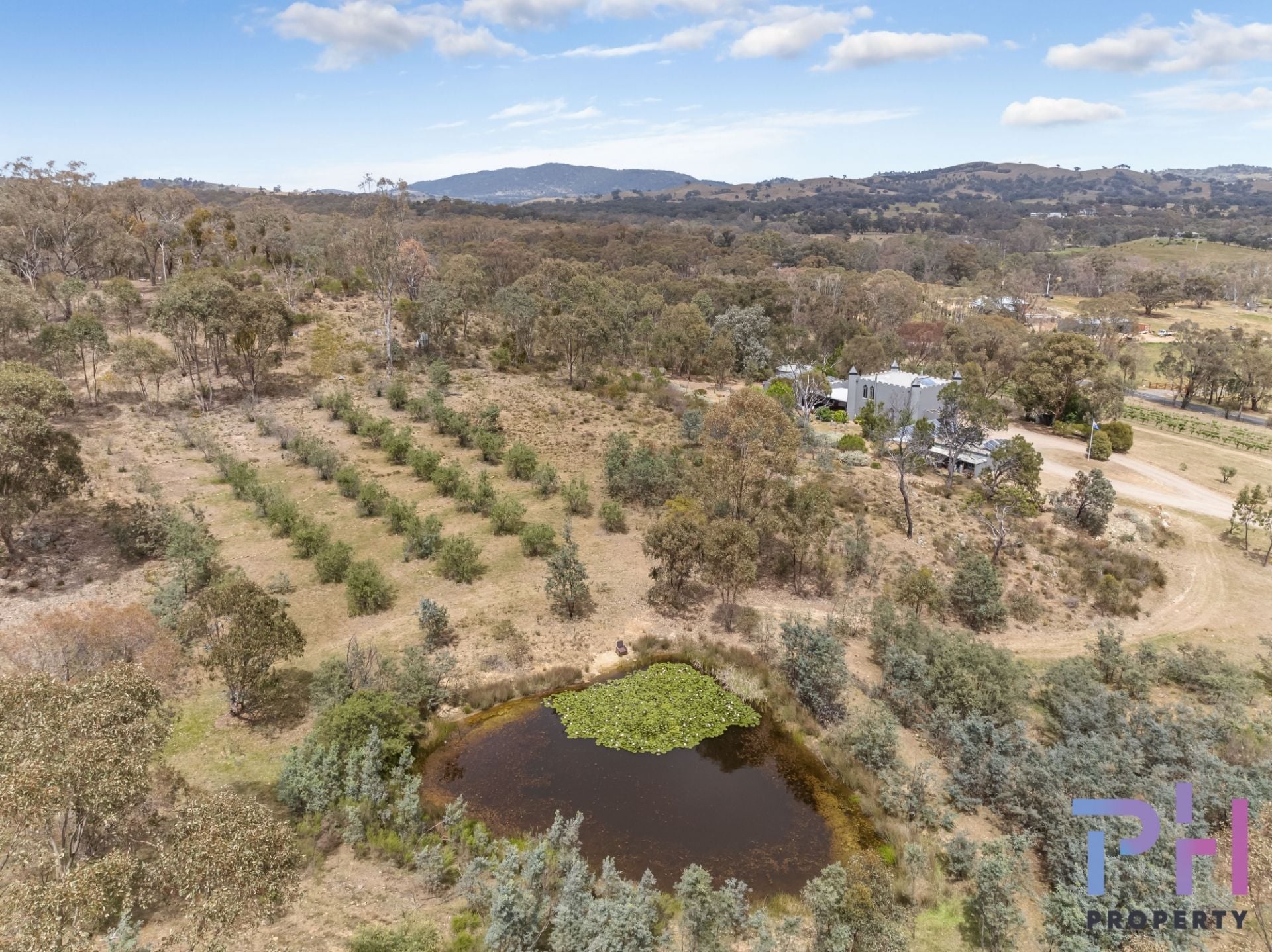 1271 Axe Creek Road Sedgwick VIC, Sedgwick - Thumbnail 6