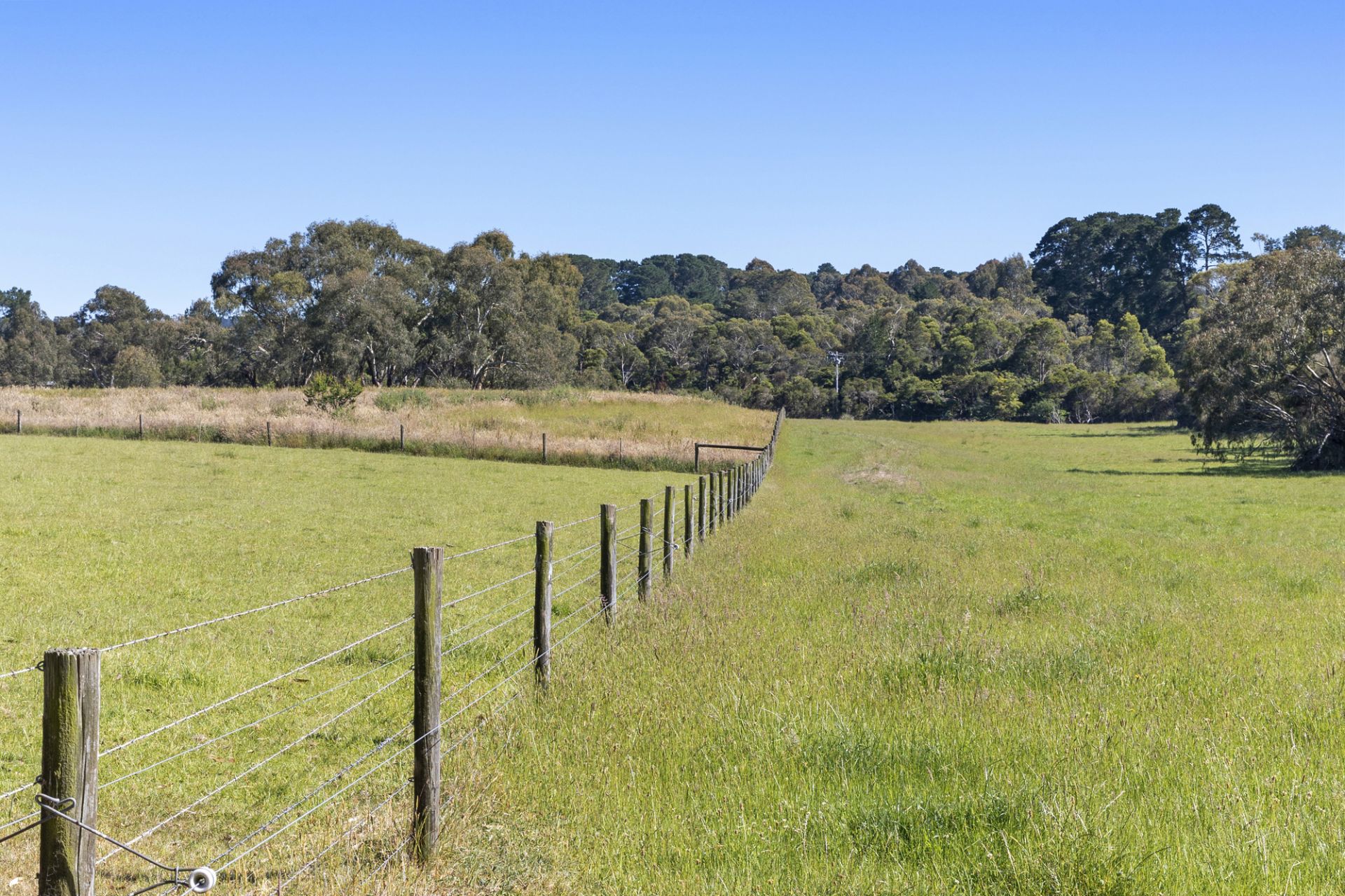 51 Stanleys Road, Merricks, Merricks - Thumbnail 3