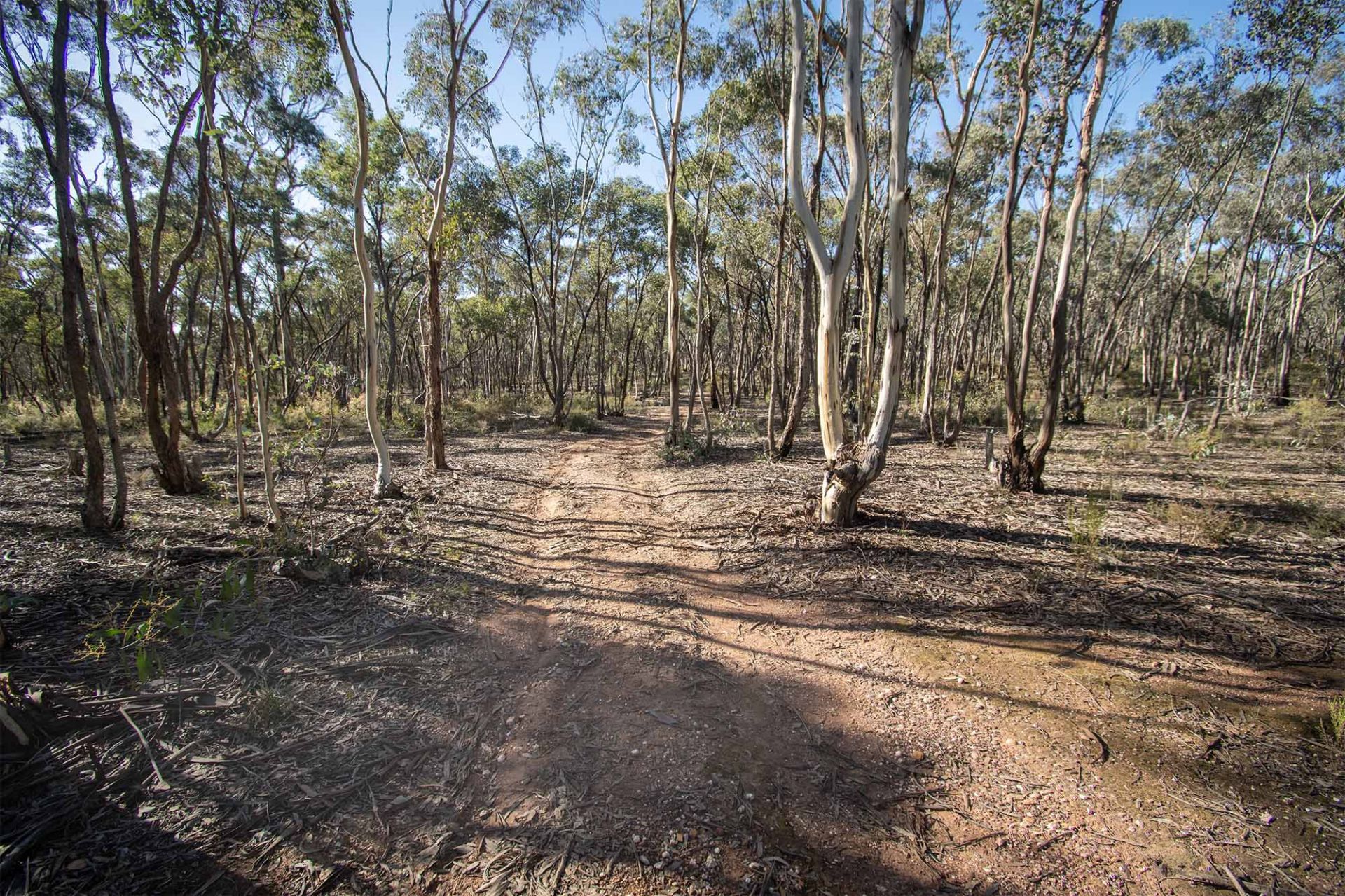 268 Moonlight Rd - Moonlight Flat, Maryborough - Thumbnail 5
