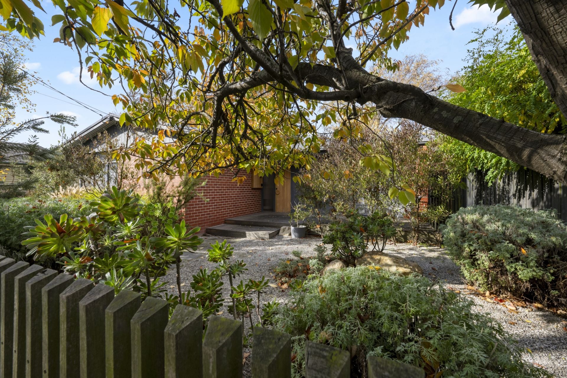 2 Frank Street, Ballarat Central, Ballarat Central - Thumbnail 7