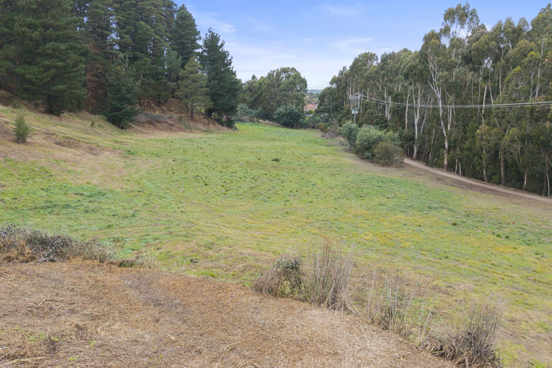 302 Clissold Street, Black Hill, Black Hill - Thumbnail 5