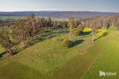 Maloneys Road, Sunnyside, Sunnyside - Thumbnail 8
