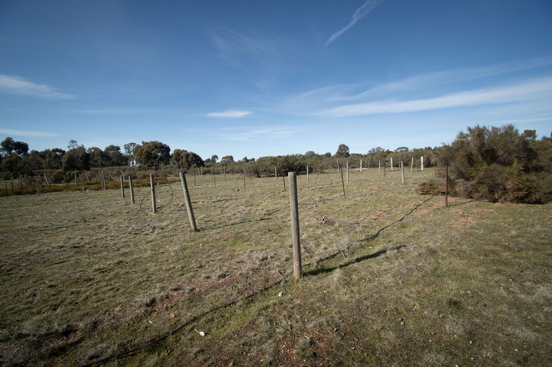 21 Gloury Road, Dunolly - Thumbnail 4