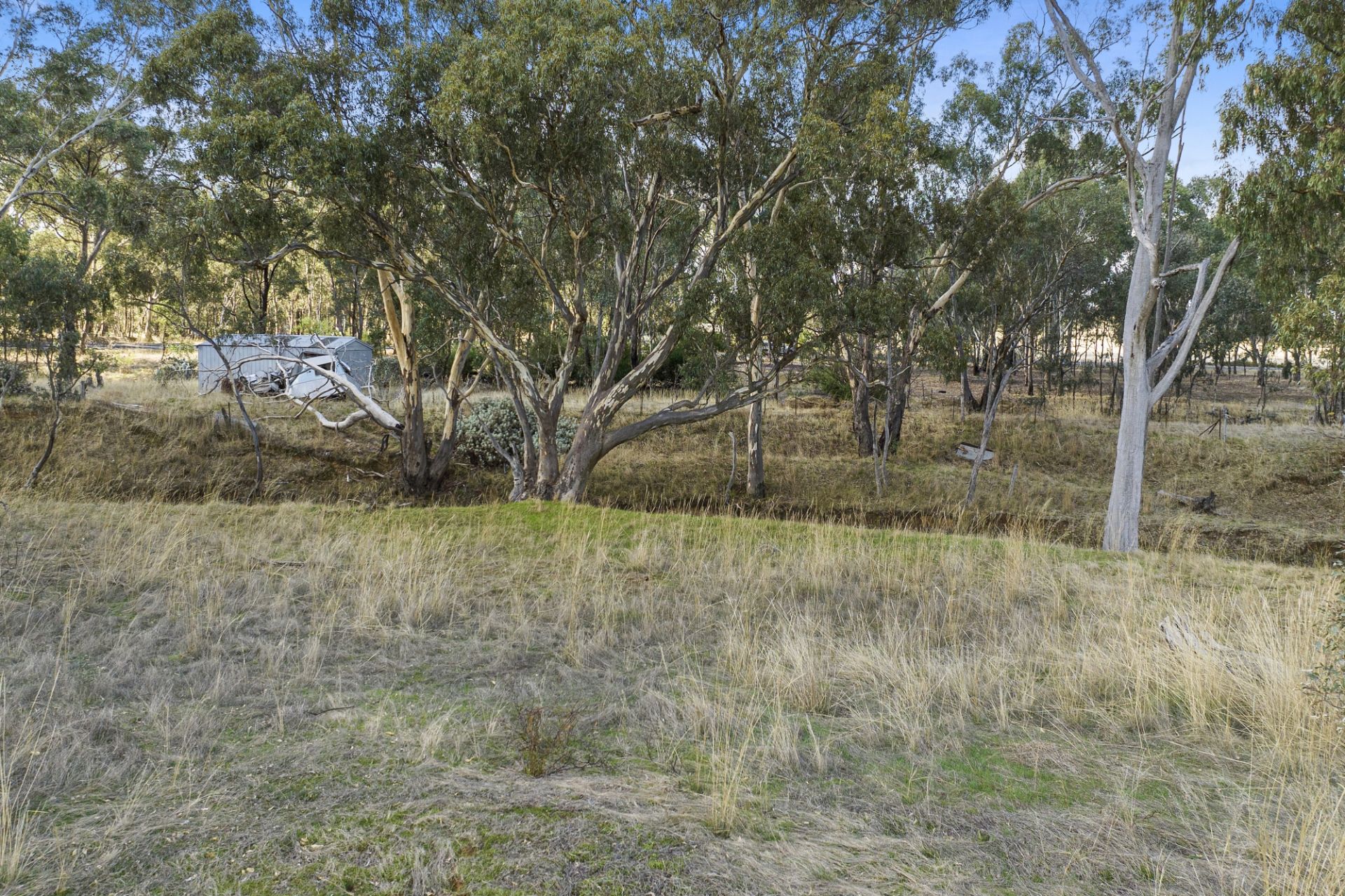 465 Dunolly-Moliagul Road, Dunolly - Thumbnail 5