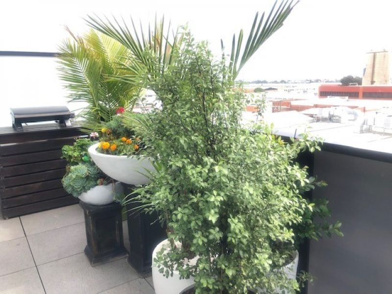 403/800 Sydney Road, Brunswick