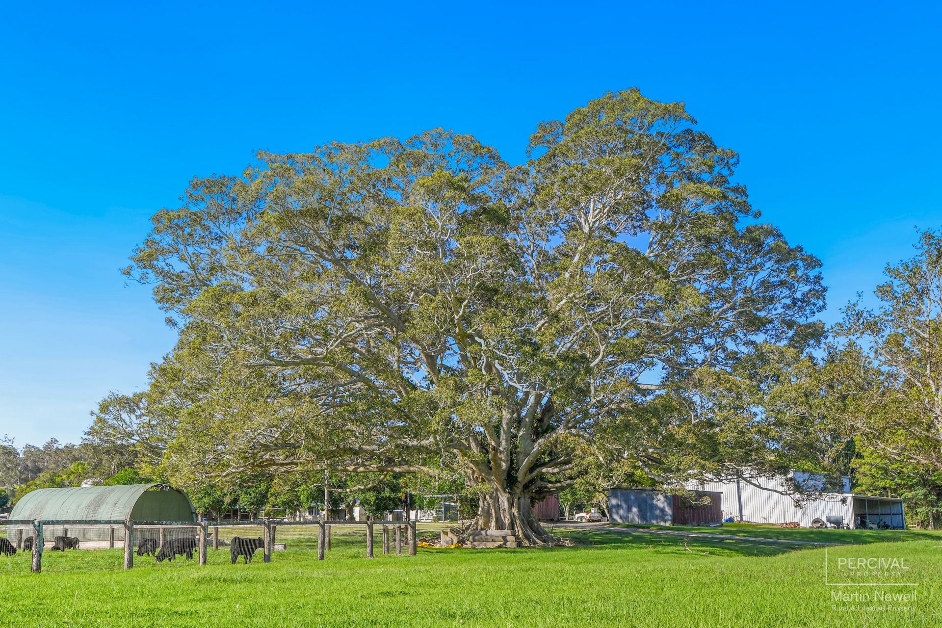 302 Batar Creek Road Batar Creek NSW, Batar Creek - Thumbnail 7