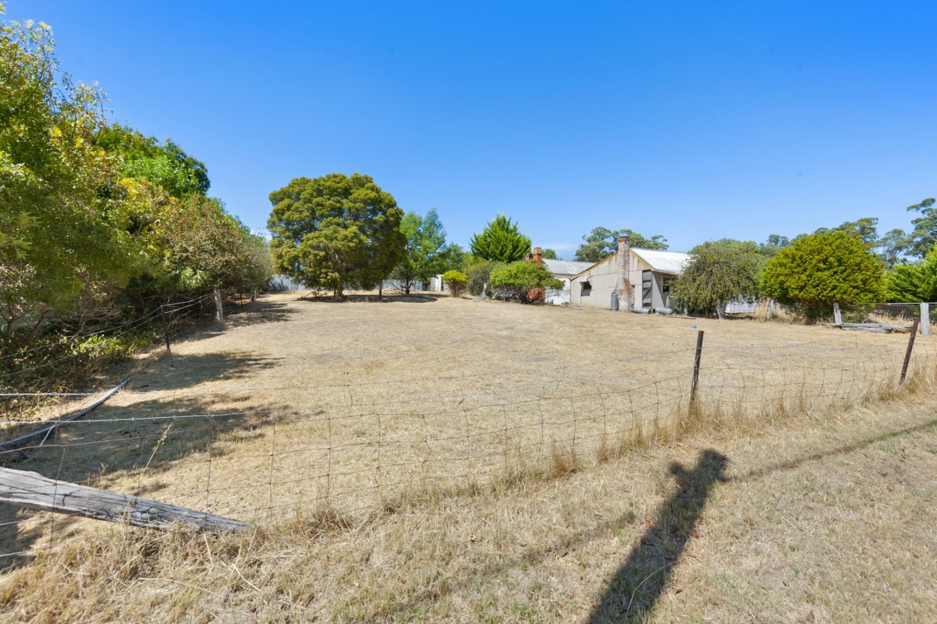 60 Pascoe Street, Avoca - Thumbnail 7