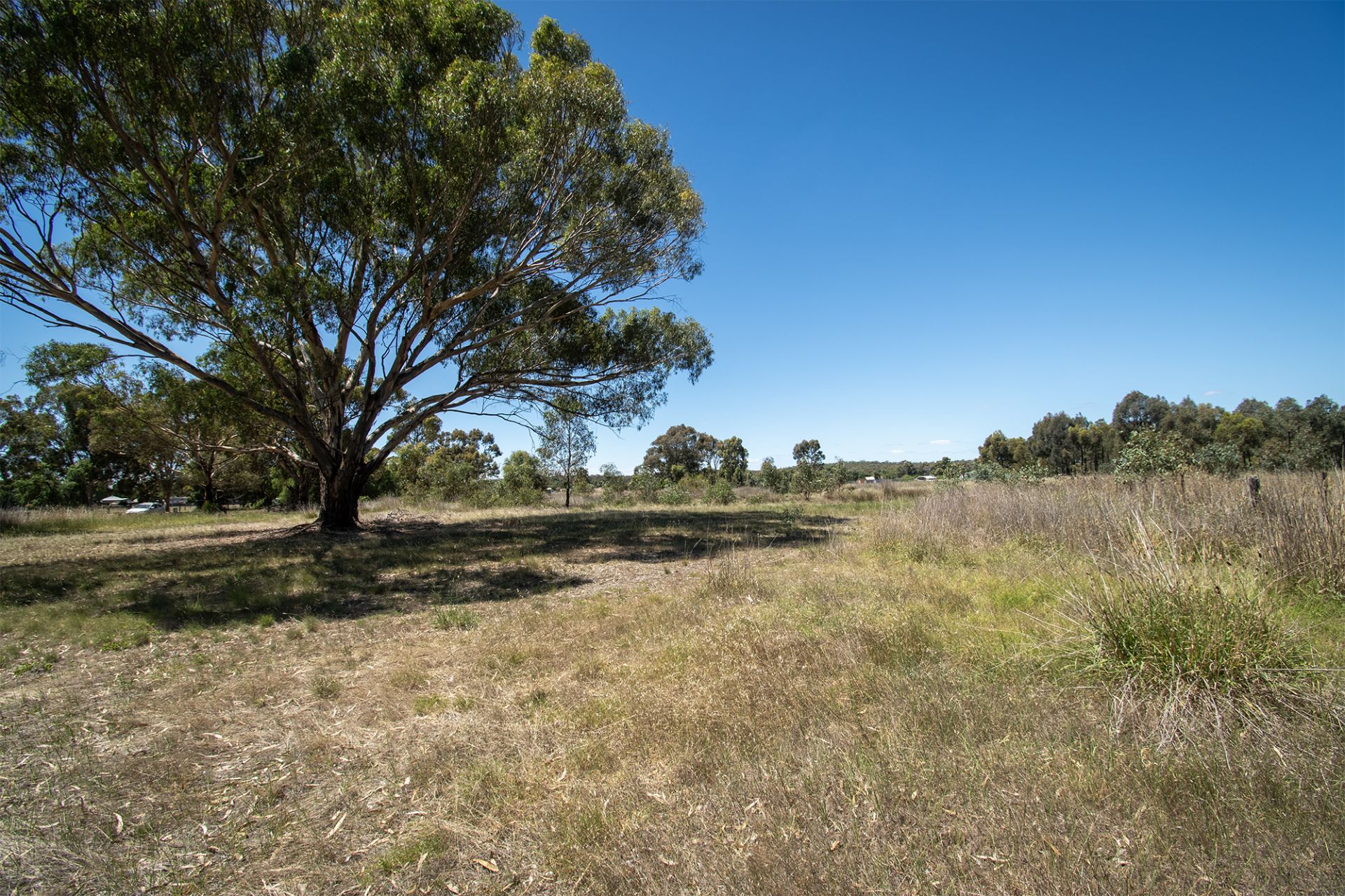 29 Steele Street, Dunolly - Thumbnail 6