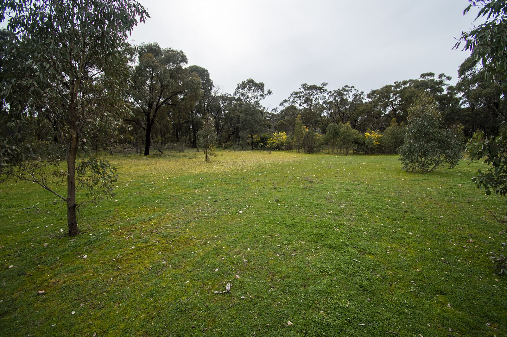 CA 31 - Clay Gully  Lane - McIntyre, Dunolly, Dunolly - Thumbnail 4