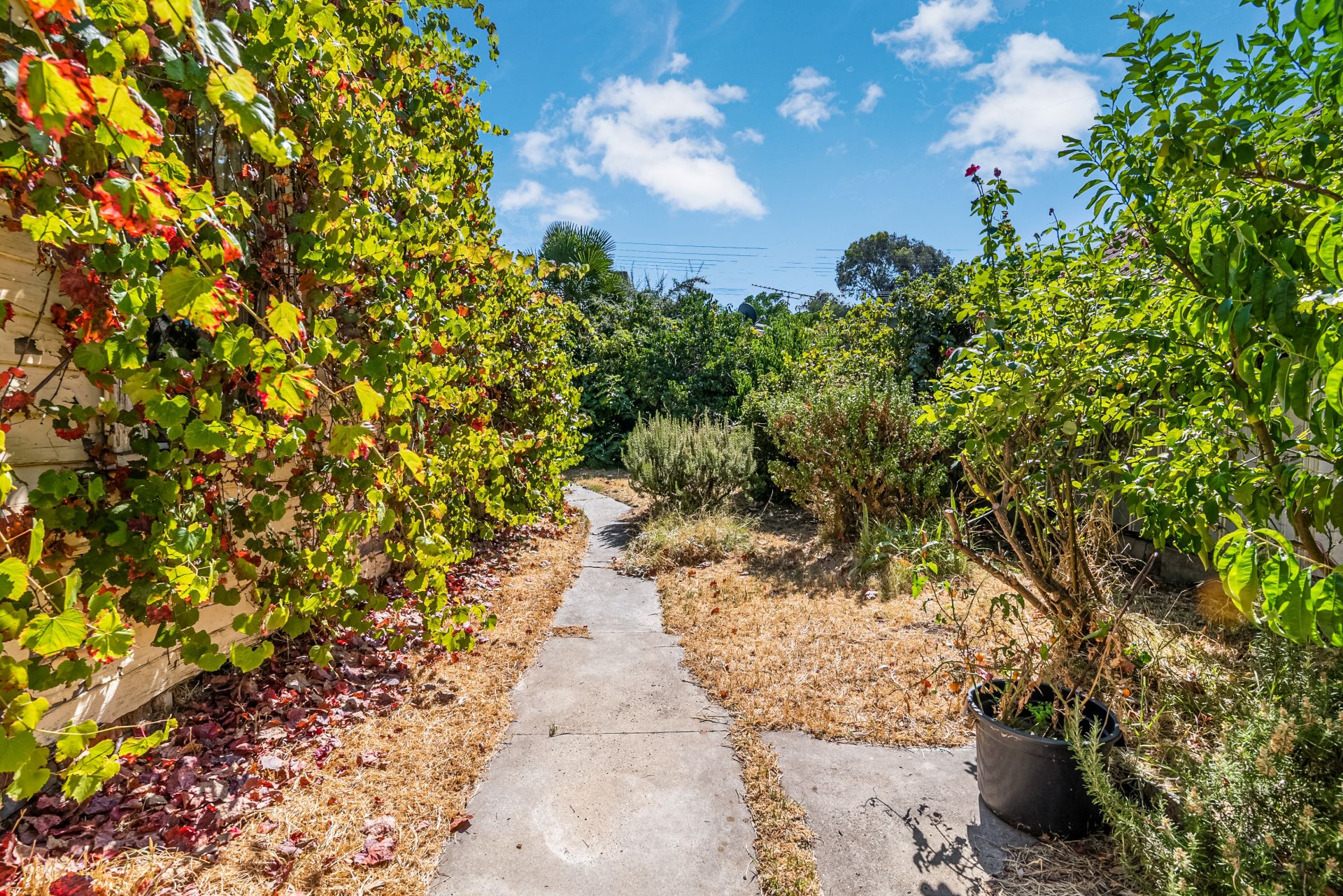 24 Olinda Street, Quarry Hill, Quarry Hill, Quarry Hill - Thumbnail 8