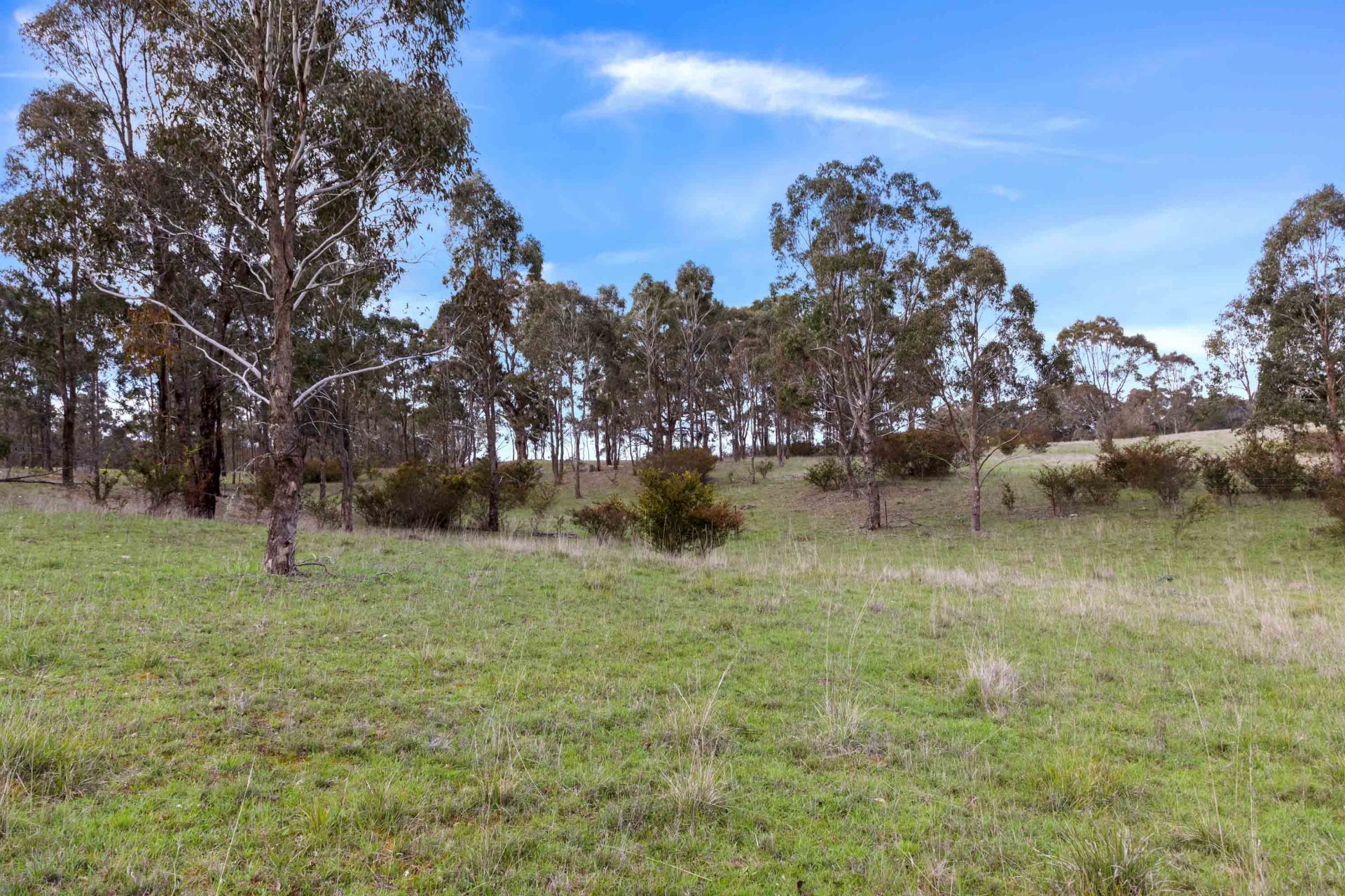 529 Beaufort-Lexton Road, Beaufort, Beaufort - Thumbnail 6