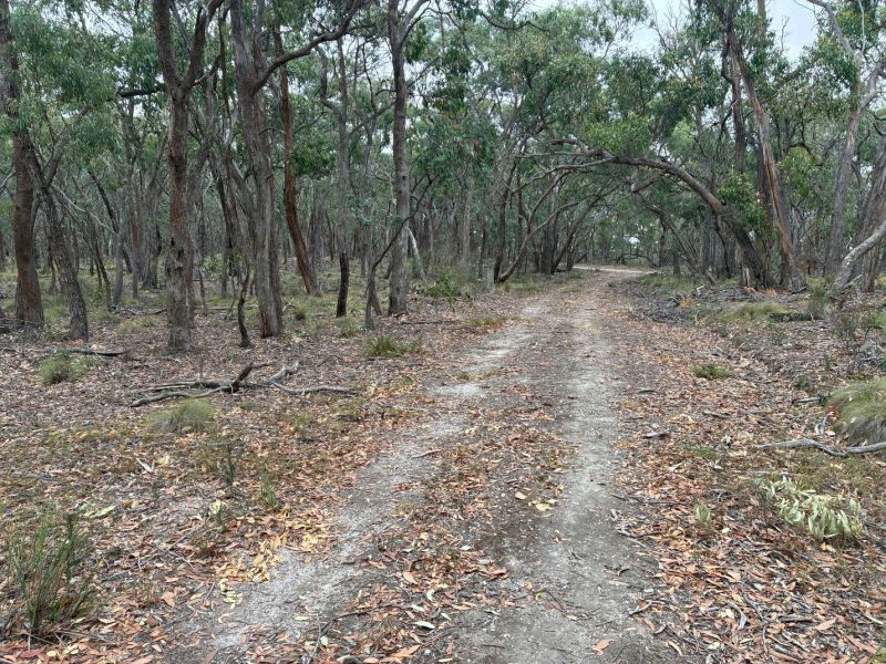 1 Grampians View Road, Beaufort, Beaufort - Thumbnail 5
