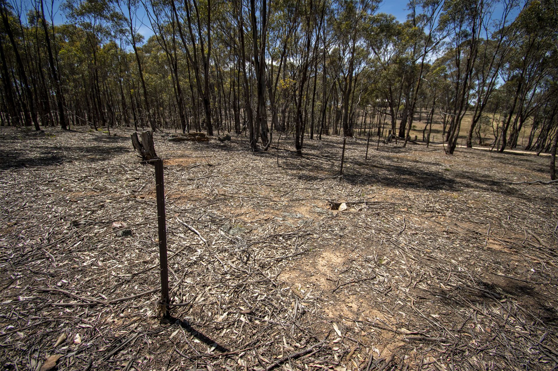35 Middle Road, Dunolly - Thumbnail 4