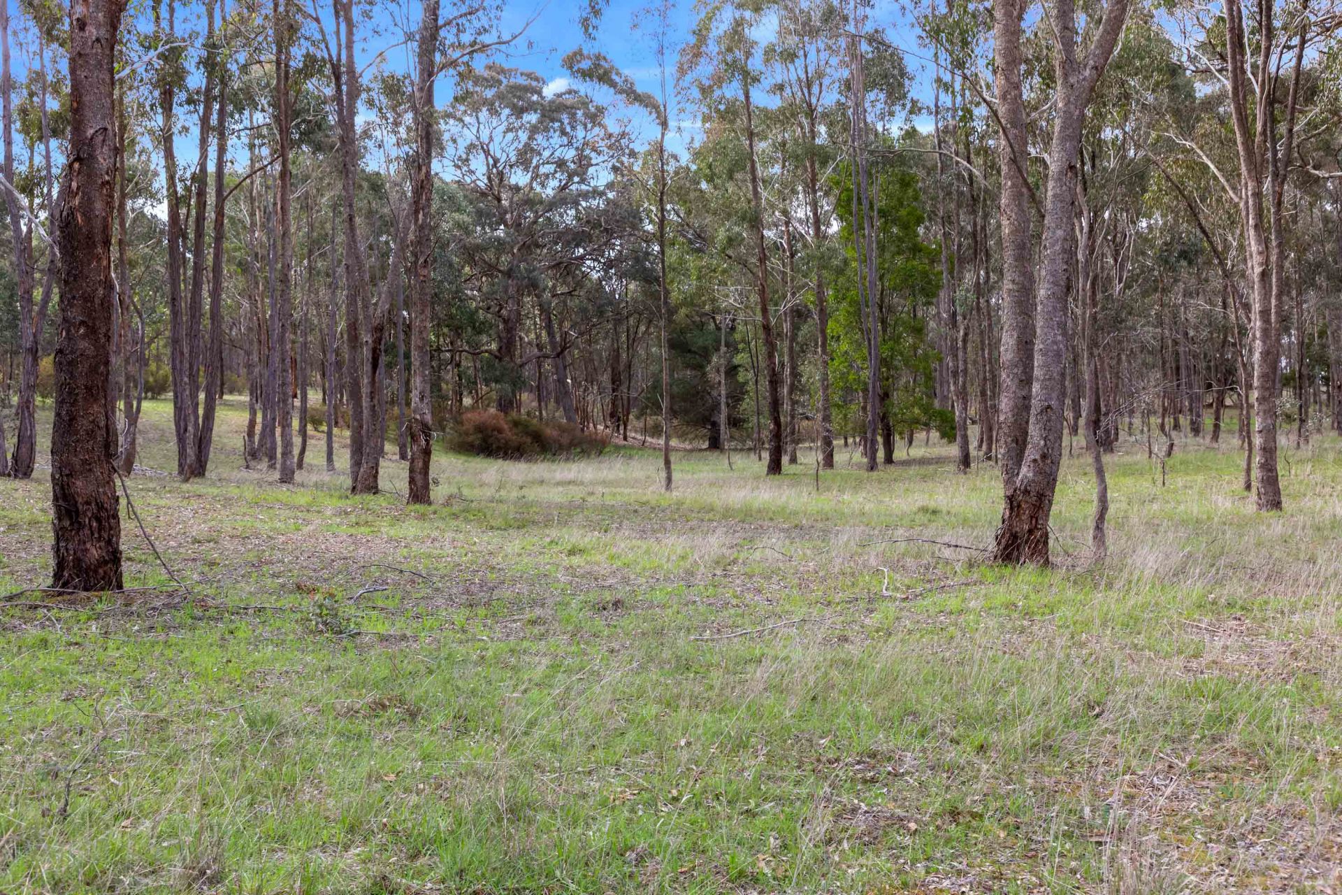 529 Beaufort-Lexton Road, Beaufort, Beaufort - Thumbnail 8