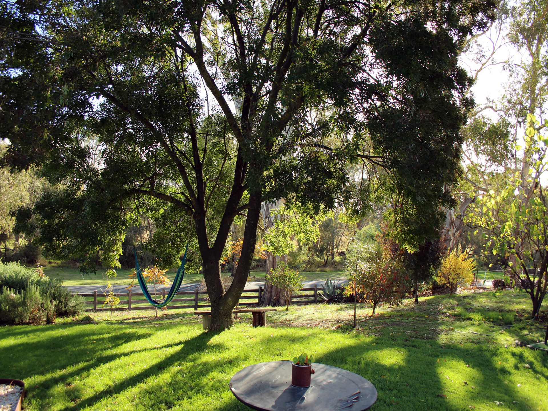 64 Dundas Street, Avoca - Thumbnail 3