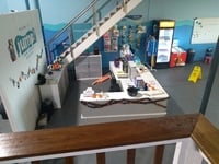 Swim school with Largest Indoor Swim pool at Hills District.