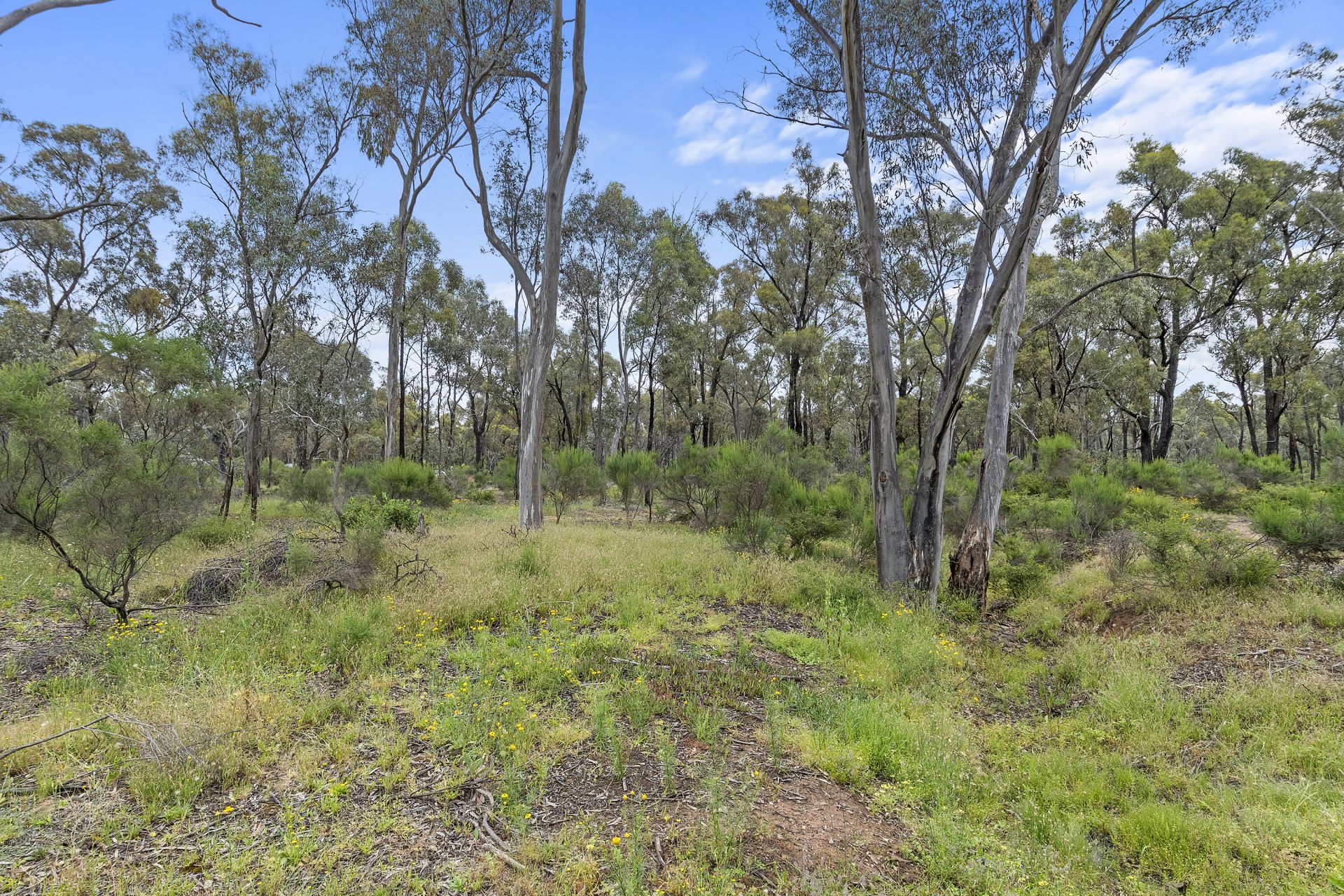 10 Lytton Street, Tarnagulla, Tarnagulla, Tarnagulla - Thumbnail 4