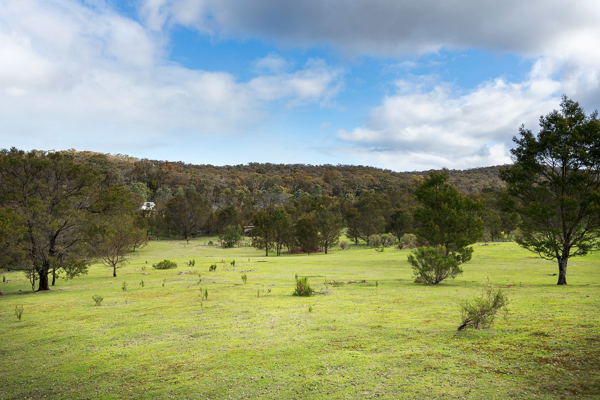 130 Cypress Drive, Elphinstone - Thumbnail 4