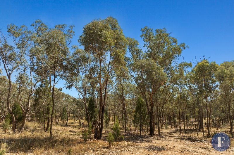 16 Caringa Road, Godfreys Creek NSW, Godfreys Creek - Thumbnail 6