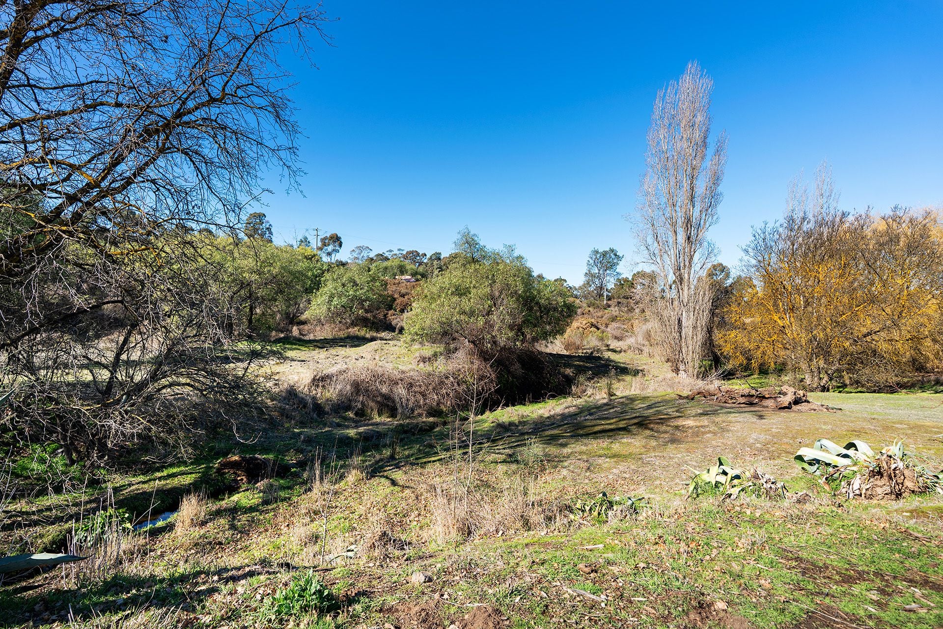 7 Castlemaine-Maldon Road, Maldon - Thumbnail 6