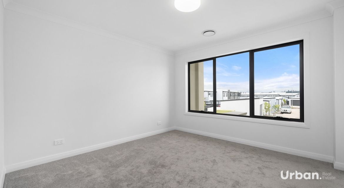 Oran Park 36 Brangus Loop