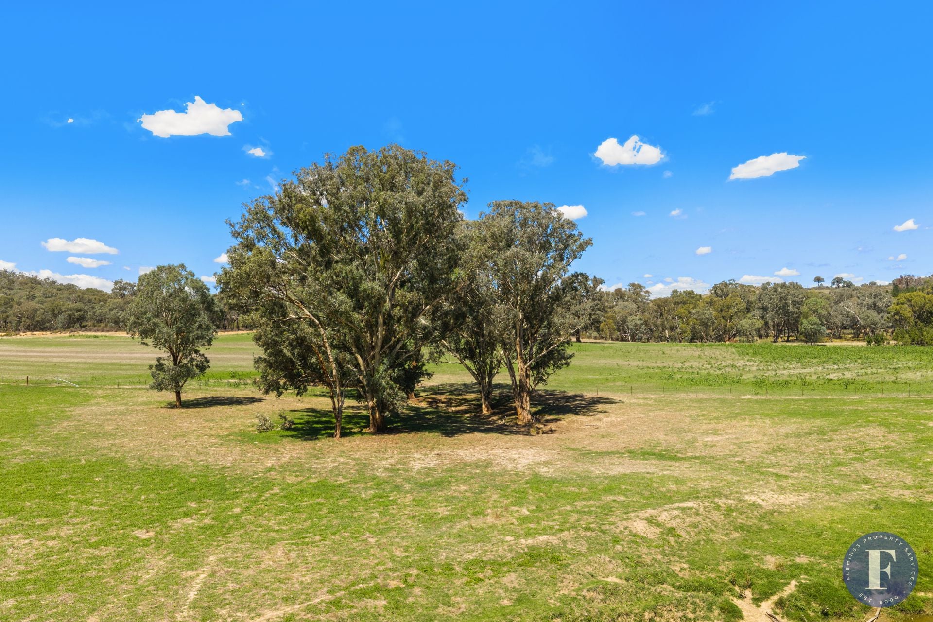 2656 Taylors Flat Road, Taylors Flat NSW, Taylors Flat - Thumbnail 6