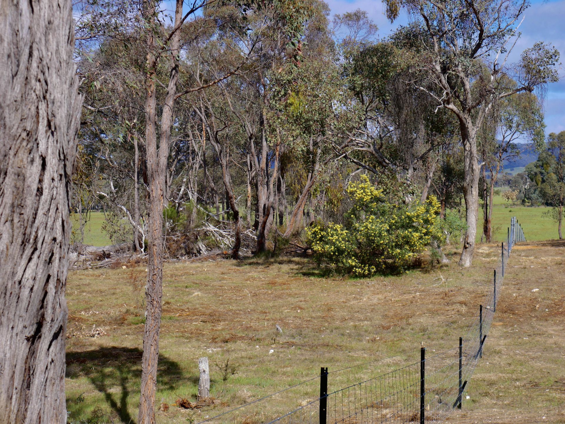 44 Borbidge Lane, Moonambel - Thumbnail 7