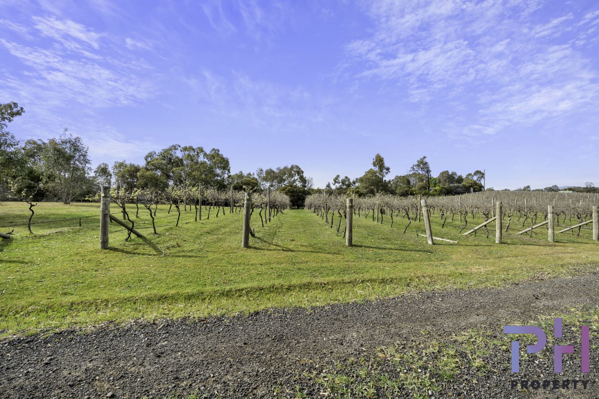 384A Sinclairs Road Strathfieldsaye VIC, Strathfieldsaye - Thumbnail 7