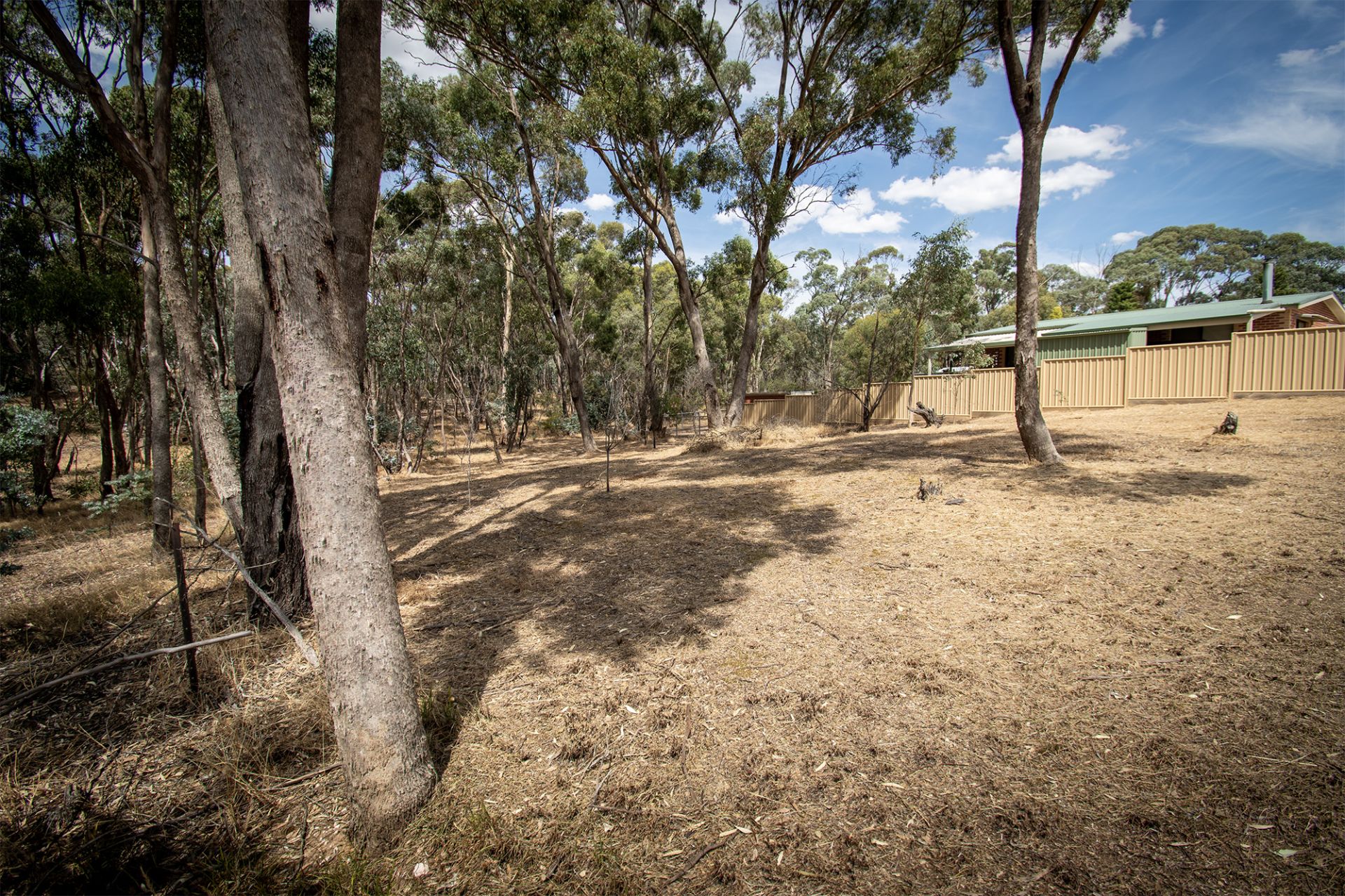 16 Mountain View Street, Avoca - Thumbnail 8