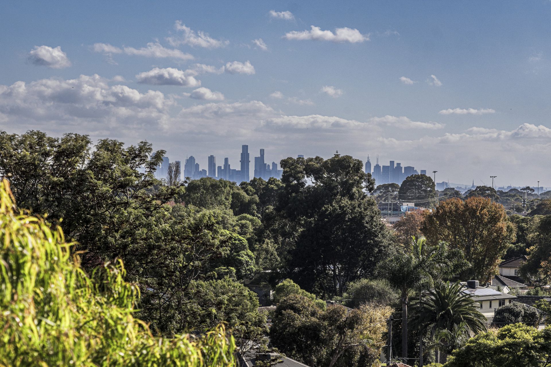 501/220 Bay Road, Sandringham, Sandringham - Thumbnail 5