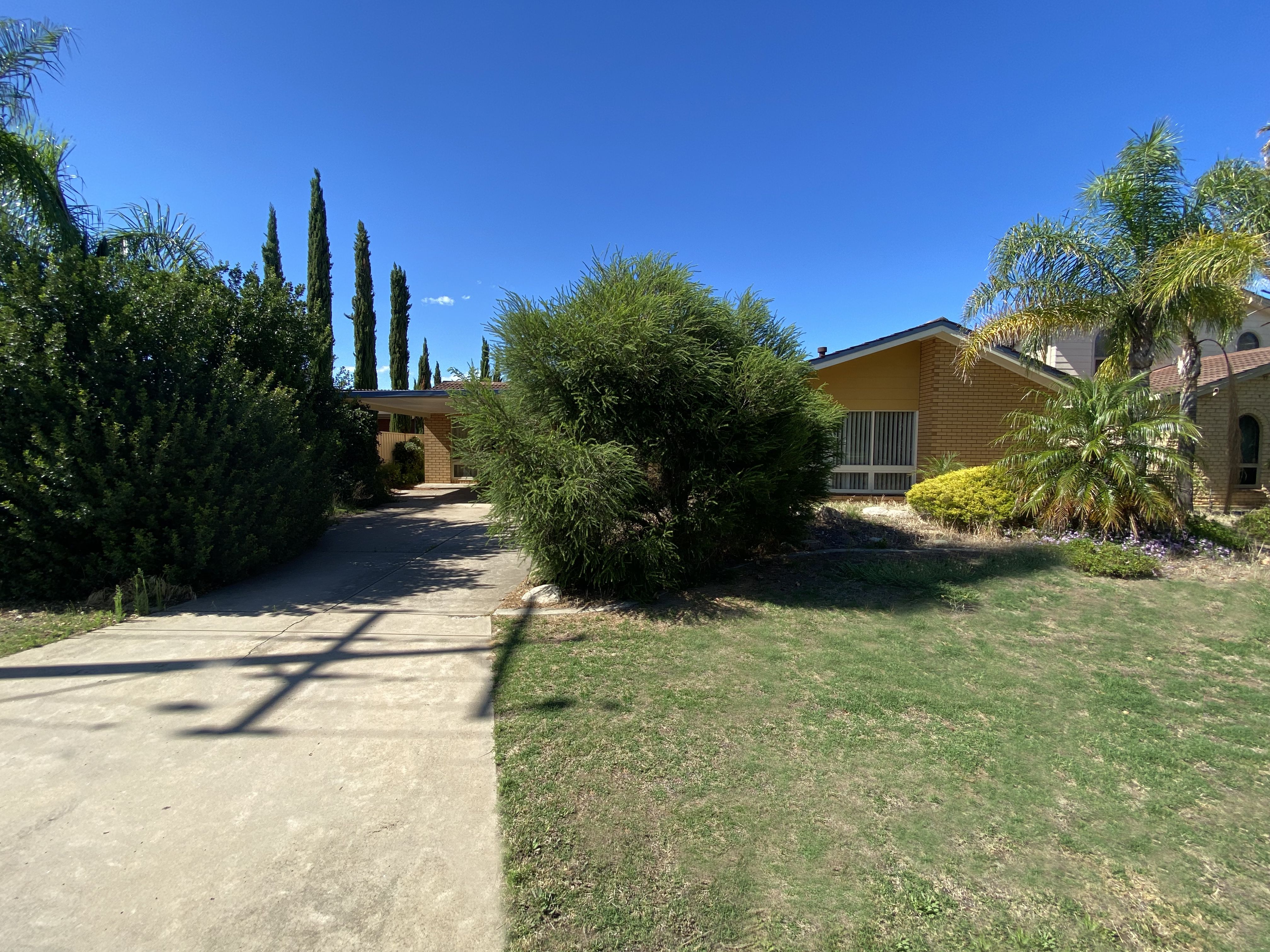 11 Pine Lodge Crescent, Grange SA 5022