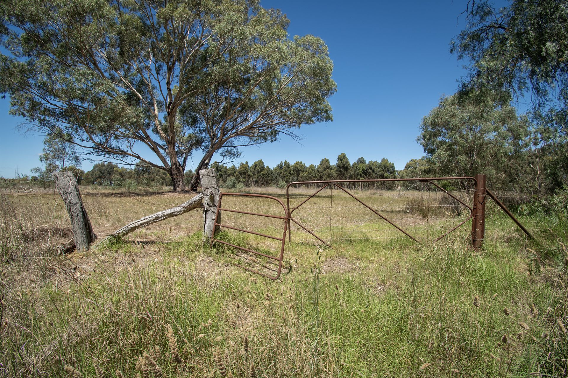 29 Steele Street, Dunolly - Thumbnail 3