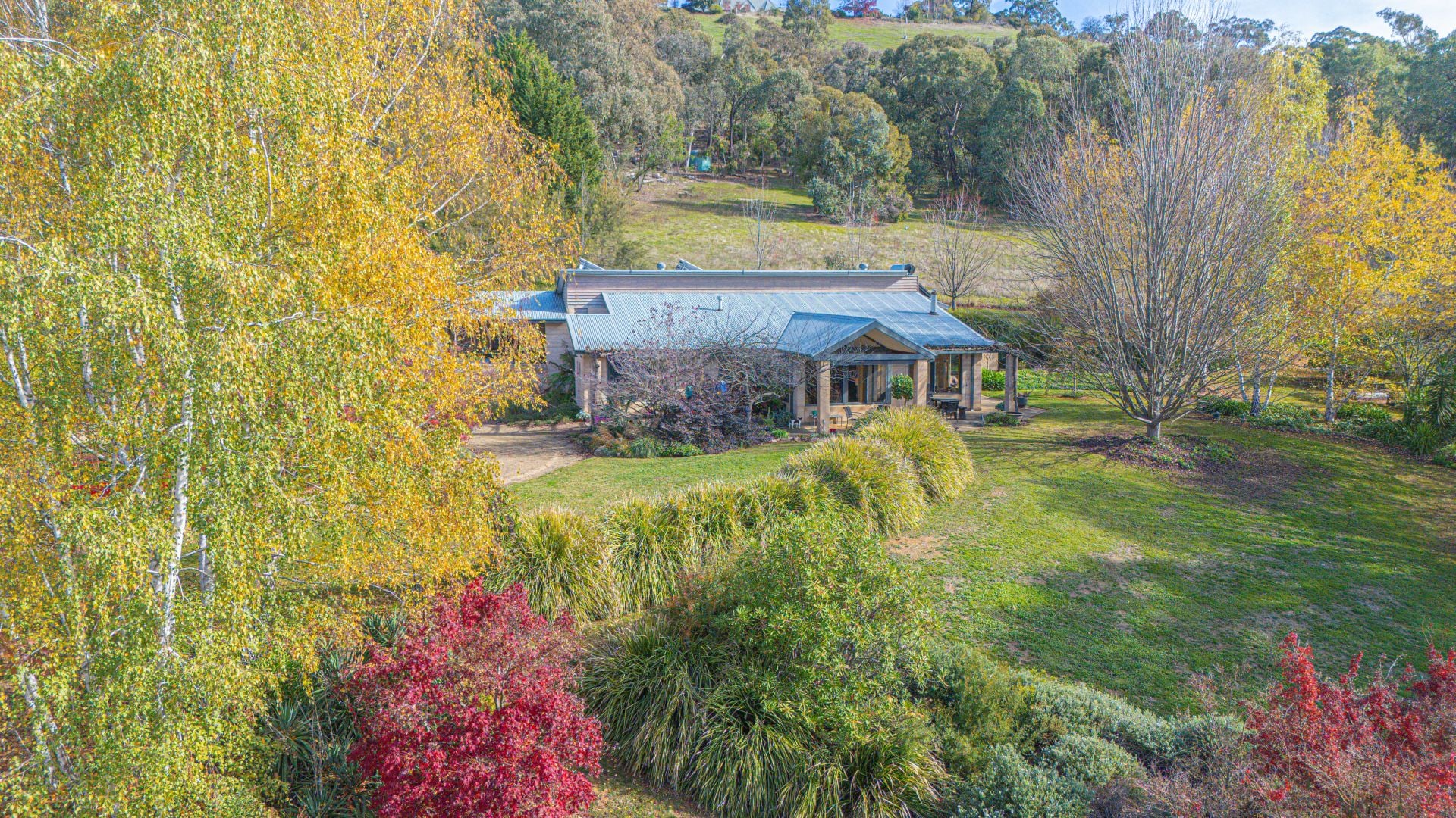 142 Buffalo Creek Road, MYRTLEFORD, Myrtleford - Thumbnail 4