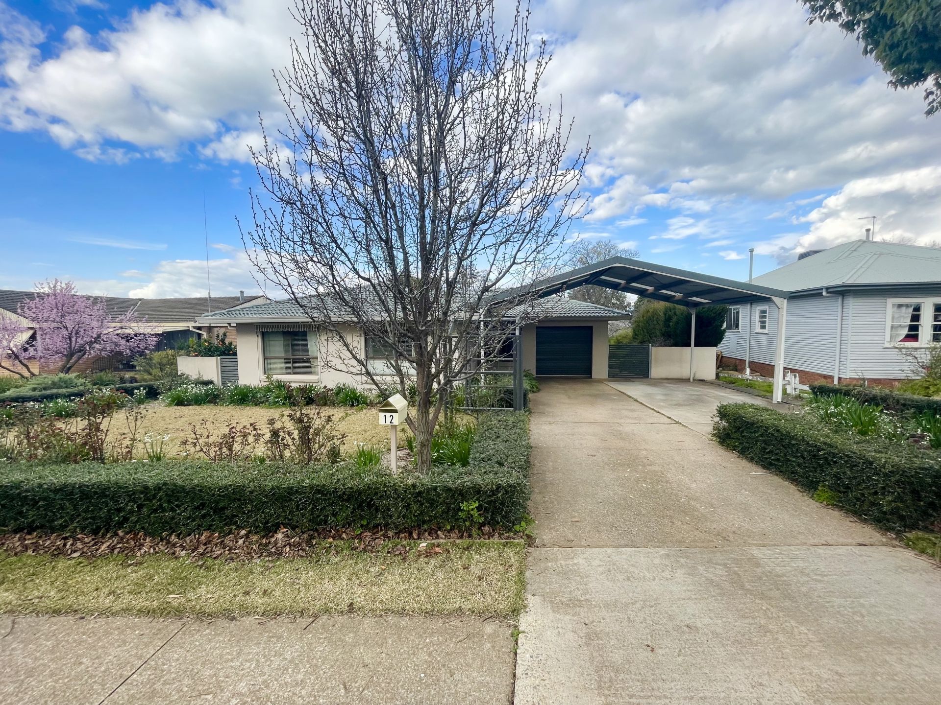 12 Back Creek Road, Young NSW, Young - Thumbnail 2