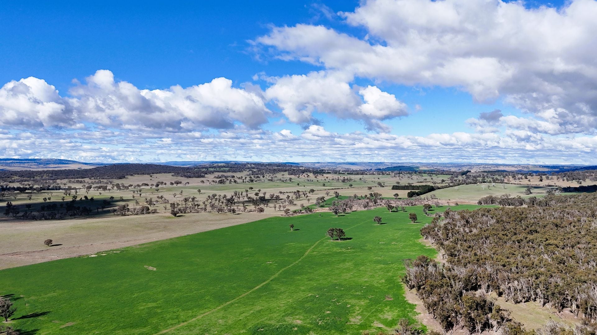 91 Gill Road, Walcha, Walcha - Thumbnail 5